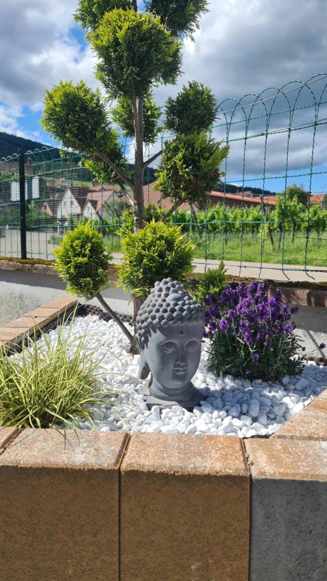 Au Jardin D'Edel Gites Centre Alsace Dieffenthal المظهر الخارجي الصورة
